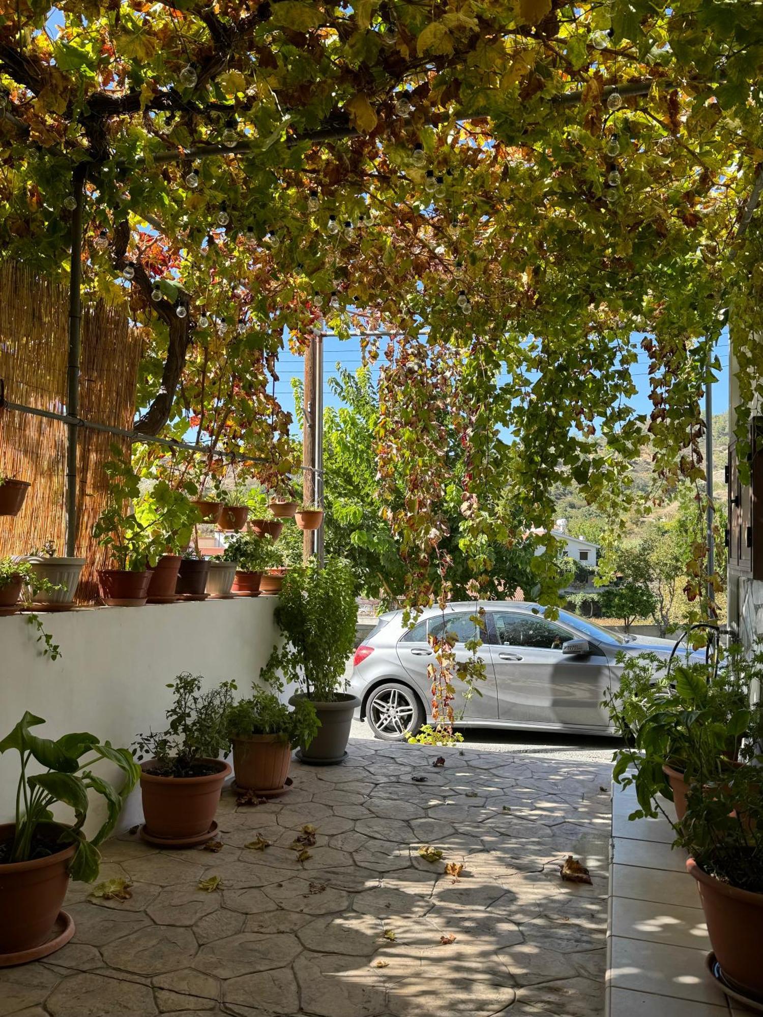 Στου Στεφανή Villa Agros Ngoại thất bức ảnh
